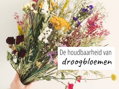 Droogbloemen houdbaarheid