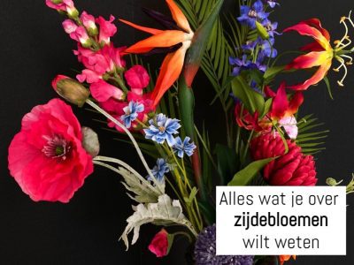 Zijdebloemen informatie
