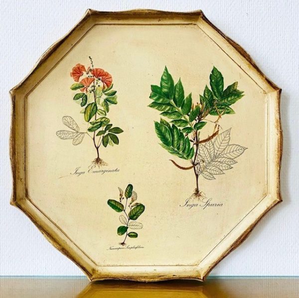 vintage dienblad botanische
